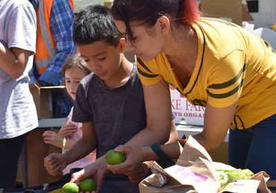 A woman and a boy selecting limes from a box