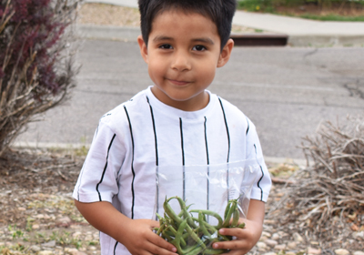 A child holding a bag of string beans